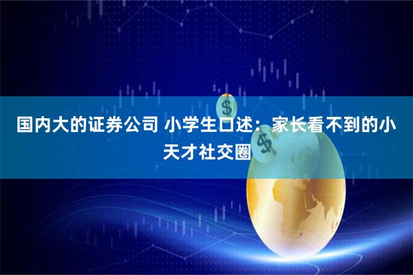 国内大的证券公司 小学生口述：家长看不到的小天才社交圈