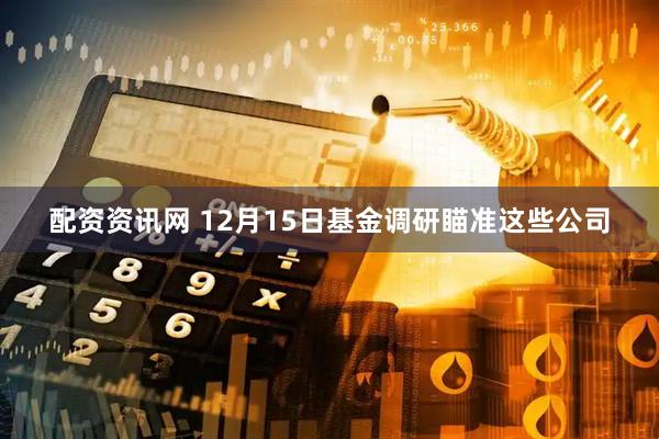配资资讯网 12月15日基金调研瞄准这些公司