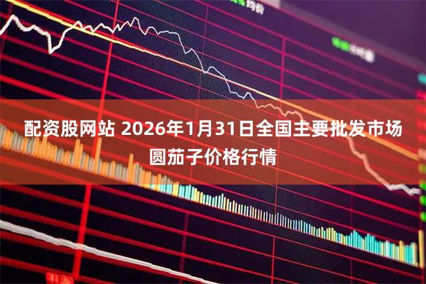 配资股网站 2026年1月31日全国主要批发市场圆茄子价格行情