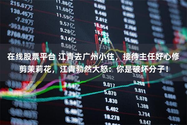 在线股票平台 江青去广州小住，接待主任好心修剪茉莉花，江青勃然大怒：你是破坏分子！